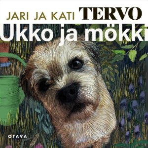 Ukko ja mökki