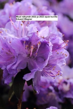 Muut näkymät 2022 ja 2023 epub kuvilla