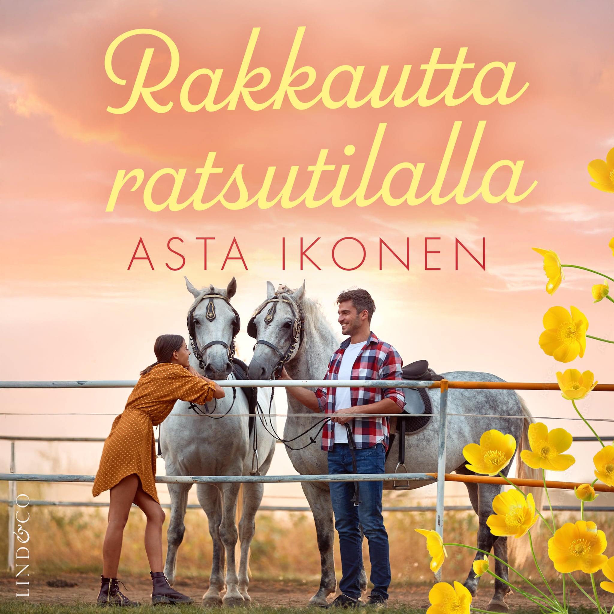 Rakkautta ratsutilalla