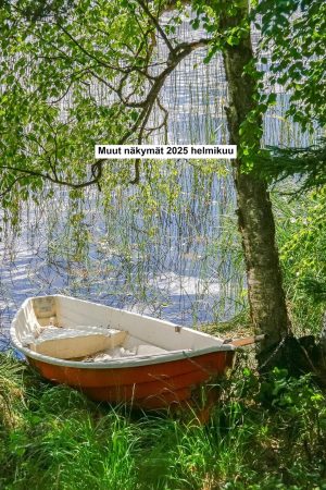 Muut näkymät 2025 helmikuu