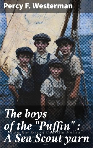 Kosken tarina : Kolminäytöksinen näytelmä