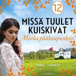 Matka pääkaupunkiin