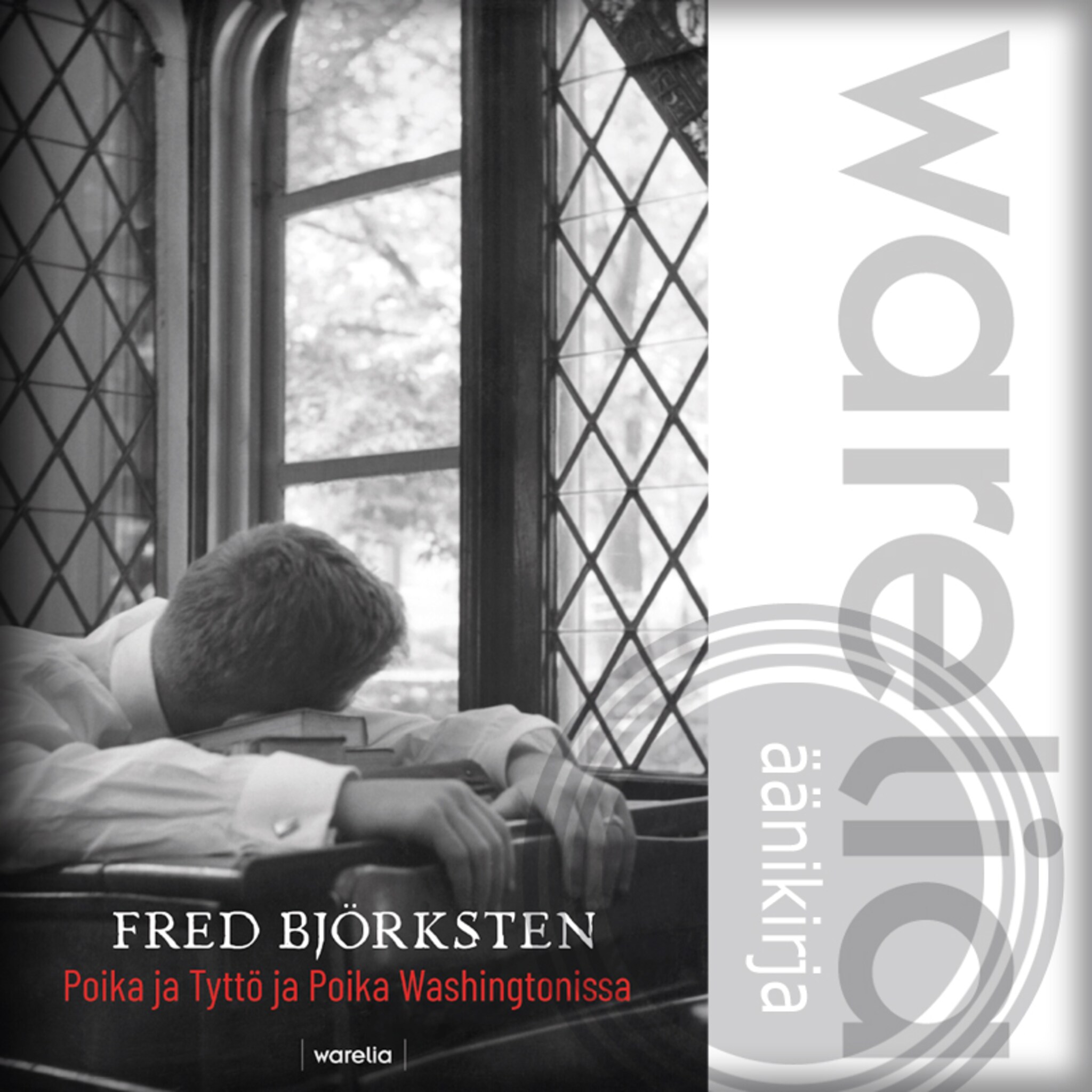 Poika ja Tyttö ja Poika Washingtonissa