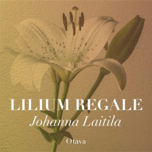 Lilium regale