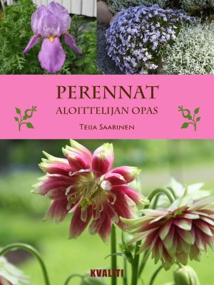 Perennat - aloittelijan opas
