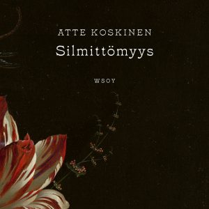 Silmittömyys