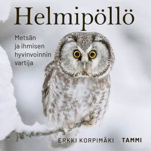 Helmipöllö